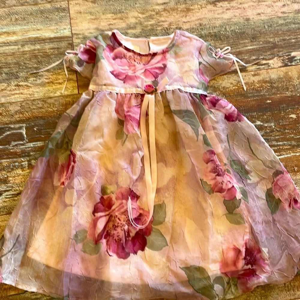 Biscotti pink floral 12 month dress with ribbon accents